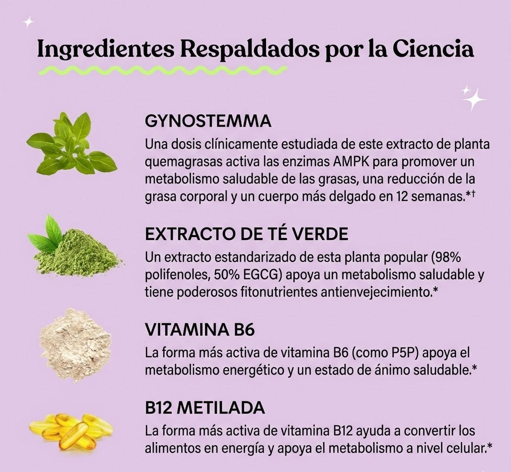 Lemme Burn Activa - Quemador y acelerador de metabolismo (Las originales)